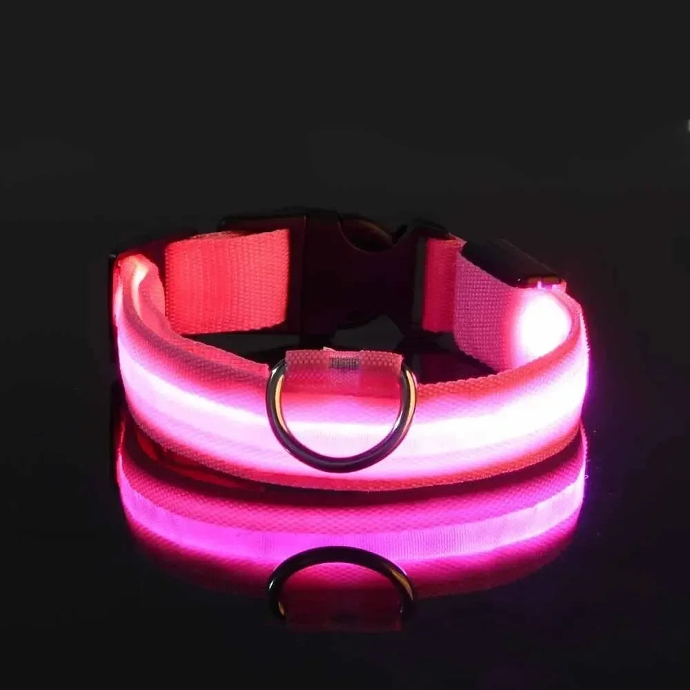 LED Light Up Dog Collar – Rechargeable Glow Collar for Night Walks in Small, Medium and Large size