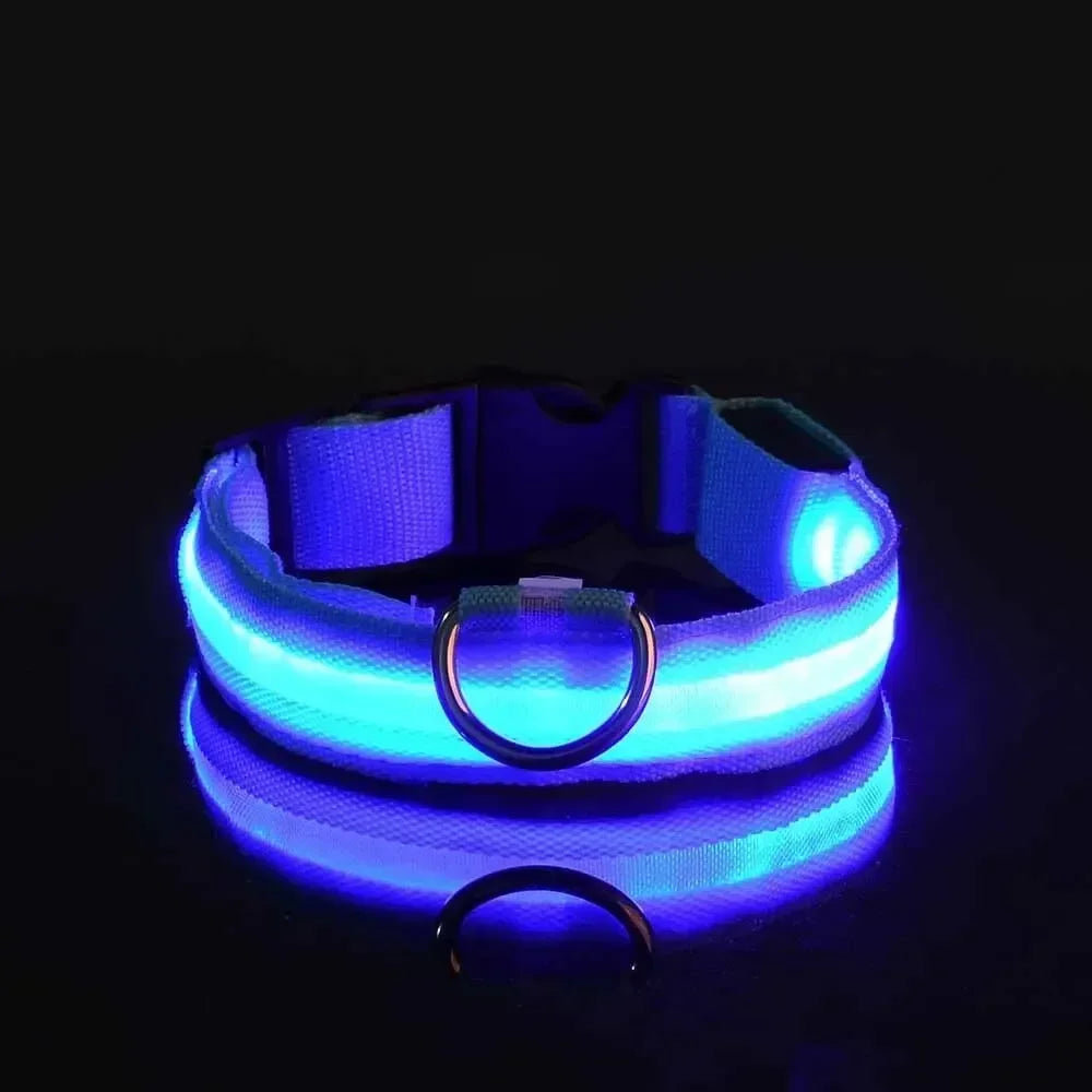 LED Light Up Dog Collar – Rechargeable Glow Collar for Night Walks in Small, Medium and Large size