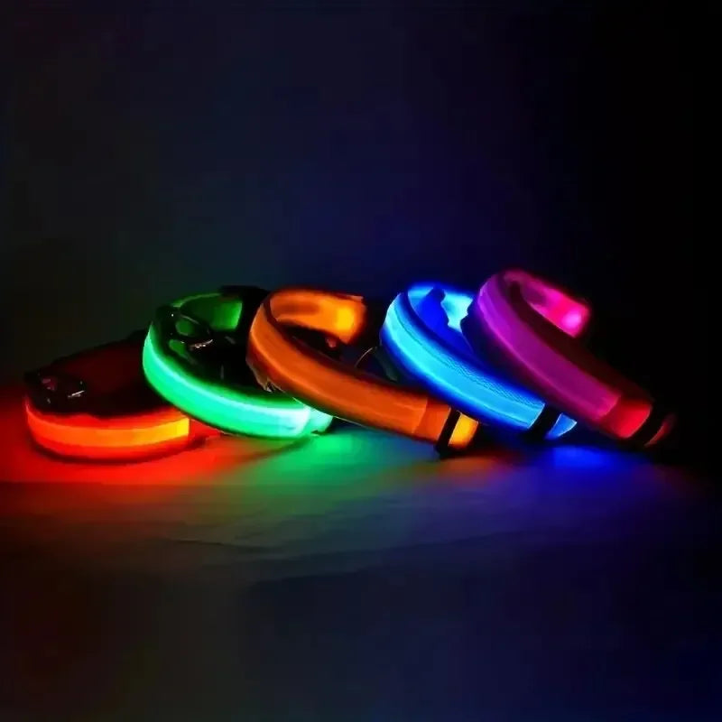 LED Light Up Dog Collar – Rechargeable Glow Collar for Night Walks in Small, Medium and Large size