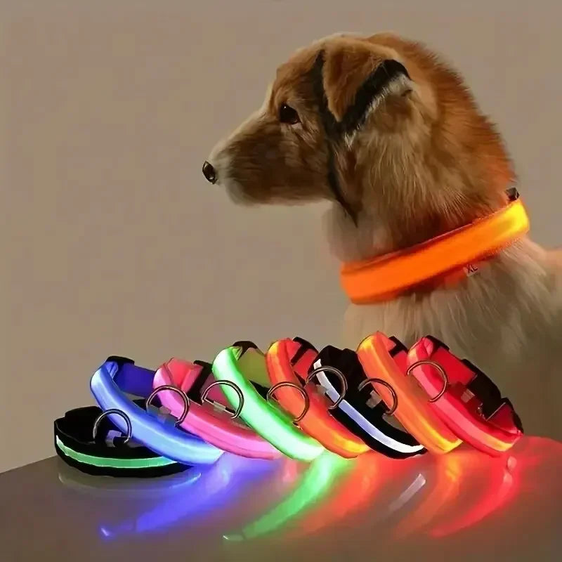 LED Light Up Dog Collar – Rechargeable Glow Collar for Night Walks in Small, Medium and Large size