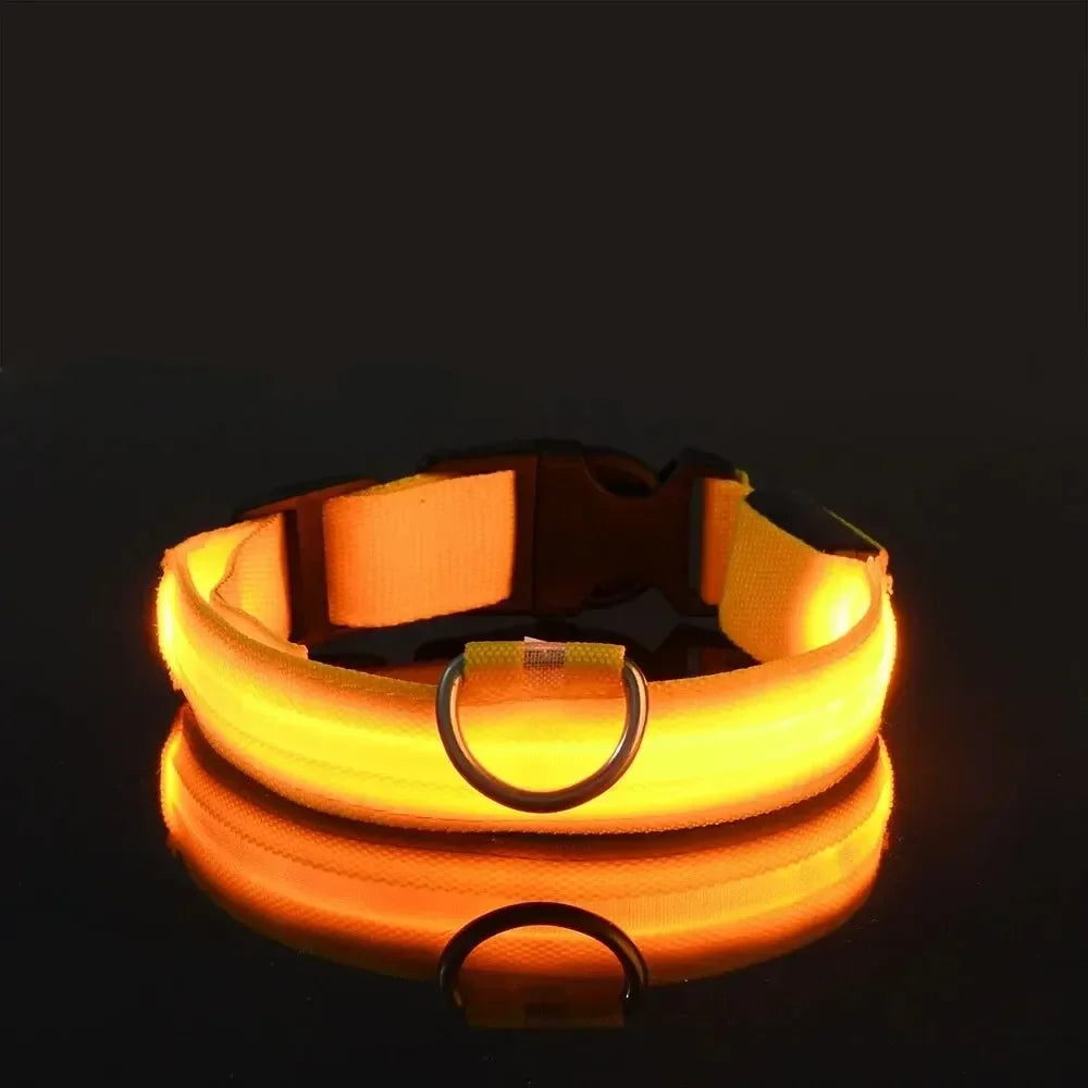 LED Light Up Dog Collar – Rechargeable Glow Collar for Night Walks in Small, Medium and Large size