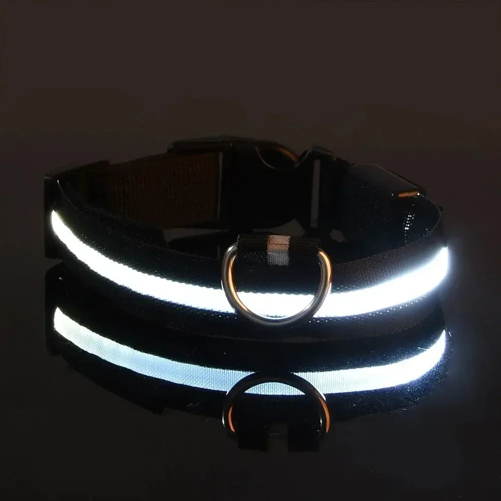 LED Light Up Dog Collar – Rechargeable Glow Collar for Night Walks in Small, Medium and Large size