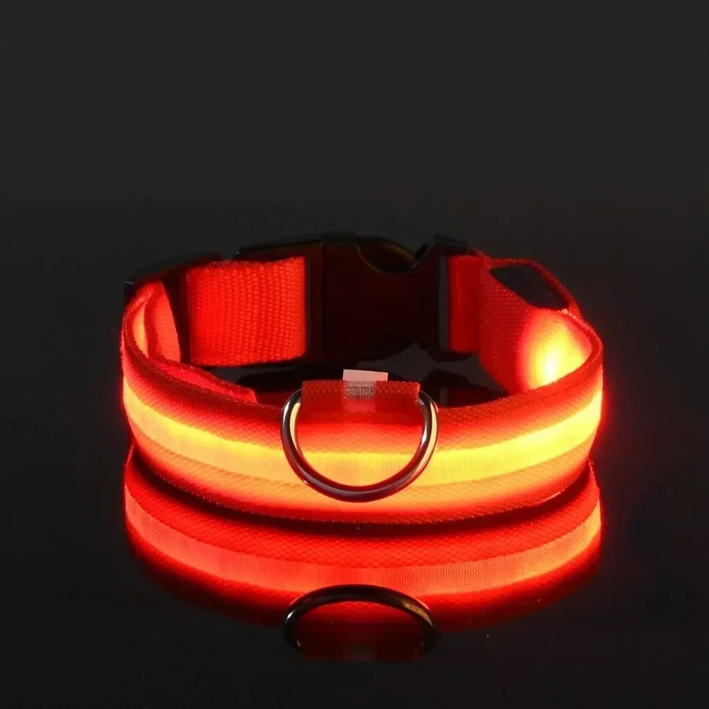 LED Light Up Dog Collar – Rechargeable Glow Collar for Night Walks in Small, Medium and Large size