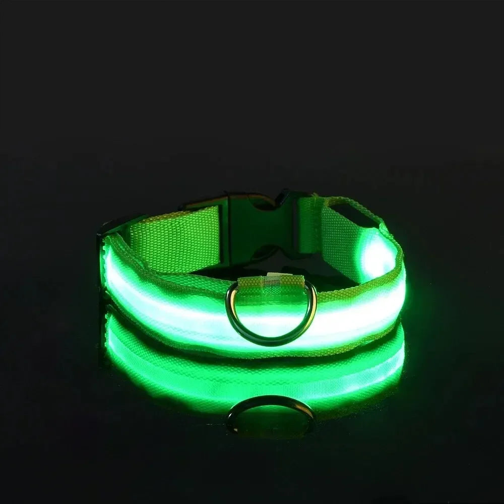 LED Light Up Dog Collar – Rechargeable Glow Collar for Night Walks in Small, Medium and Large size
