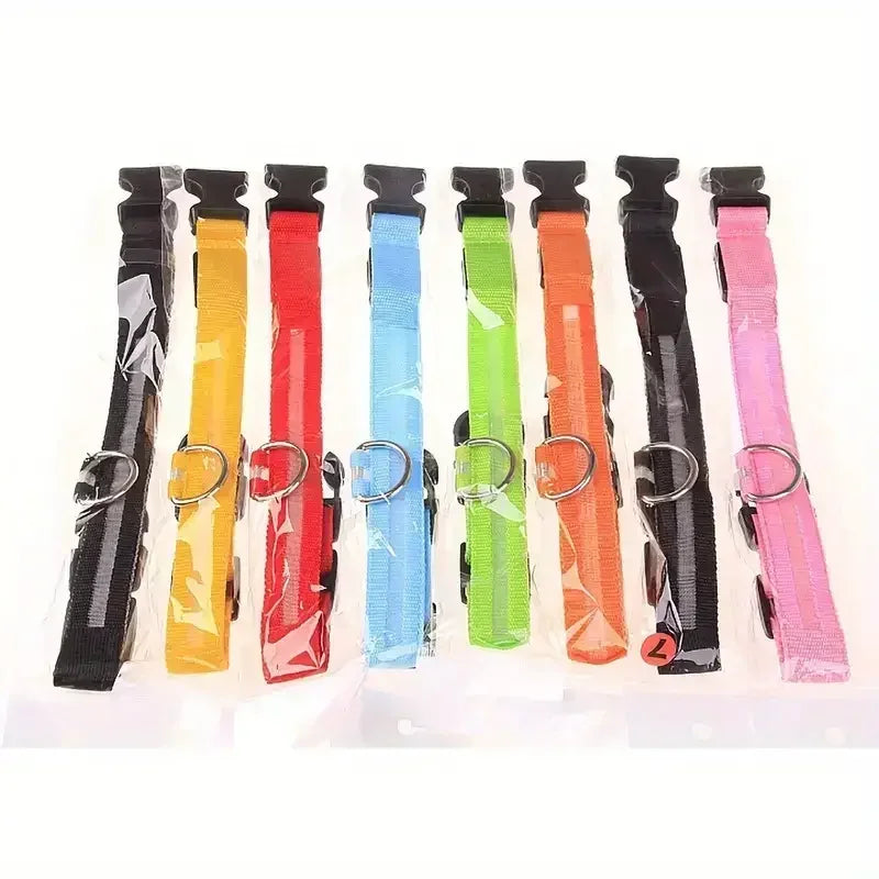 LED Light Up Dog Collar – Rechargeable Glow Collar for Night Walks in Small, Medium and Large size
