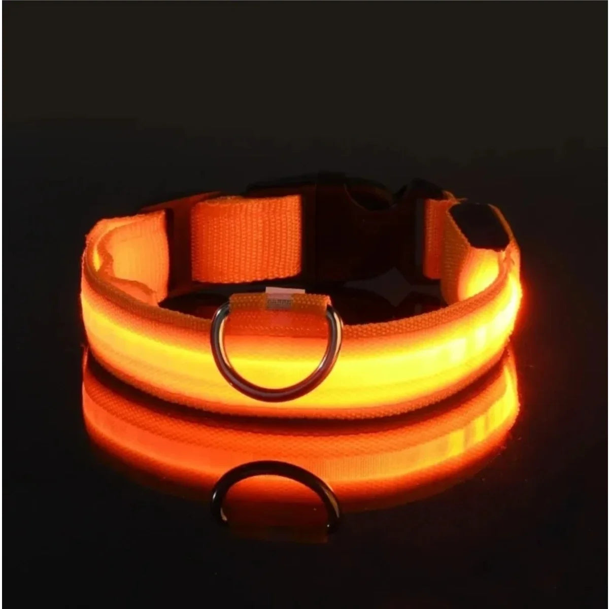 LED Light Up Dog Collar – Rechargeable Glow Collar for Night Walks in Small, Medium and Large size