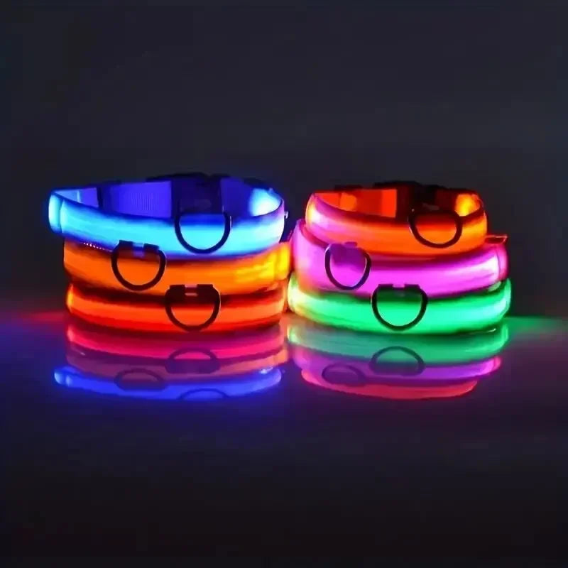 LED Light Up Dog Collar – Rechargeable Glow Collar for Night Walks in Small, Medium and Large size